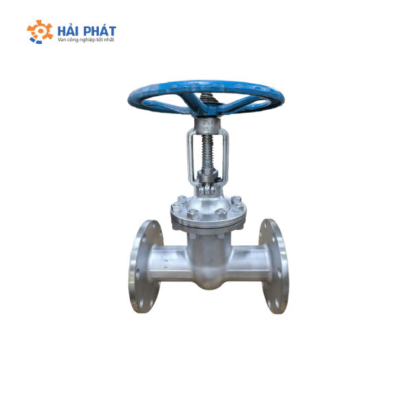 van cổng ty nổi inox bích dn100