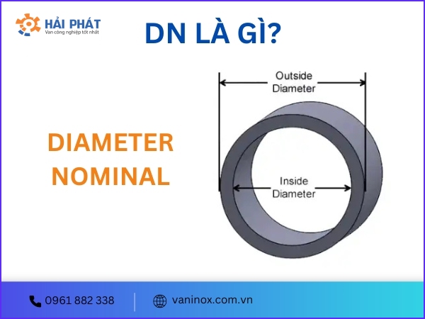 dn là gì