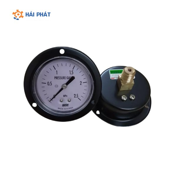 đồng hồ áp suất chân sau