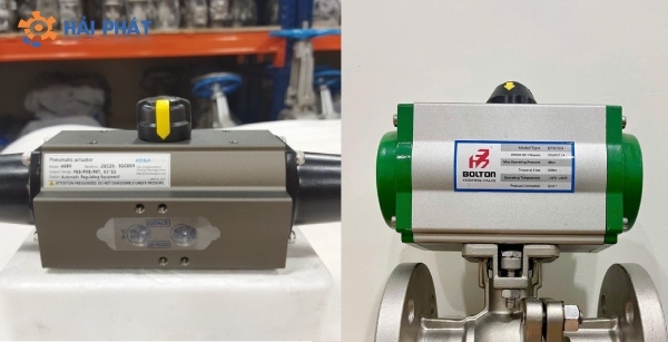 Pneumatic actuator