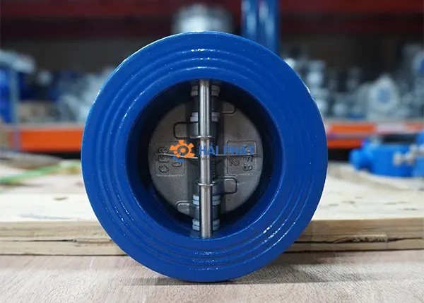 Wafer check valve