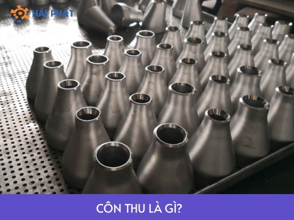 Côn thu là gì? Phân loại, đặc điểm và ứng dụng