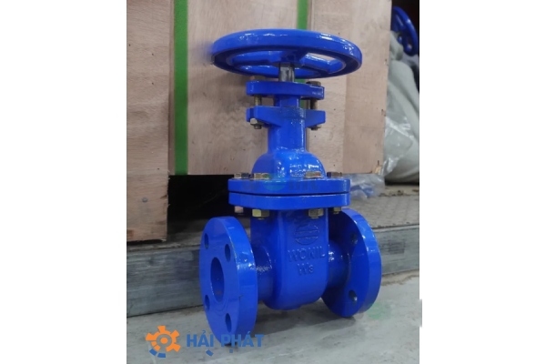 van cổng gang ty chìm dn40