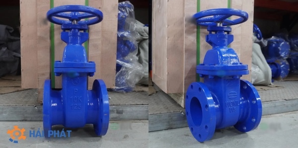 van cổng ty chìm dn125 wonil gang