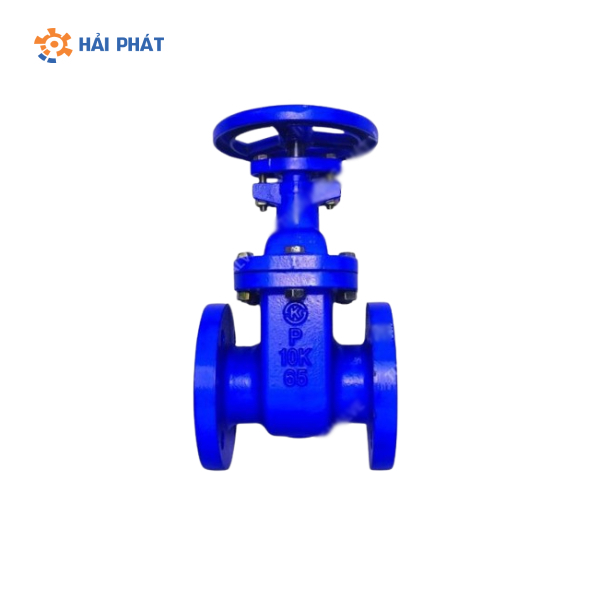 van cổng ty chìm dn65 wonil