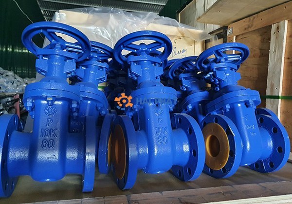 van cổng ty chìm dn80 wonil